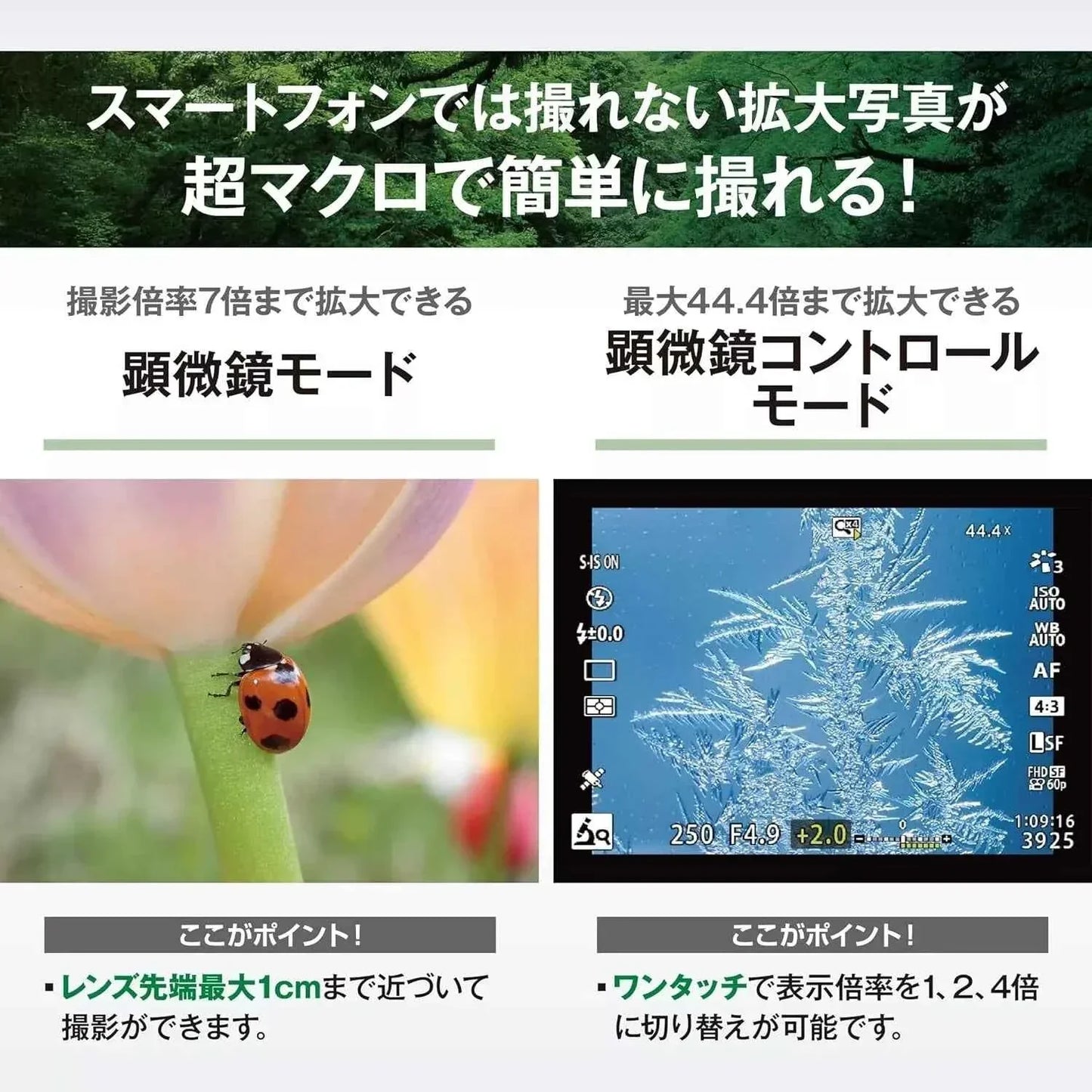 OM SYSTEM OLYMPUS Tough TG-7 Red Compact Digital Camera - cameraavenue