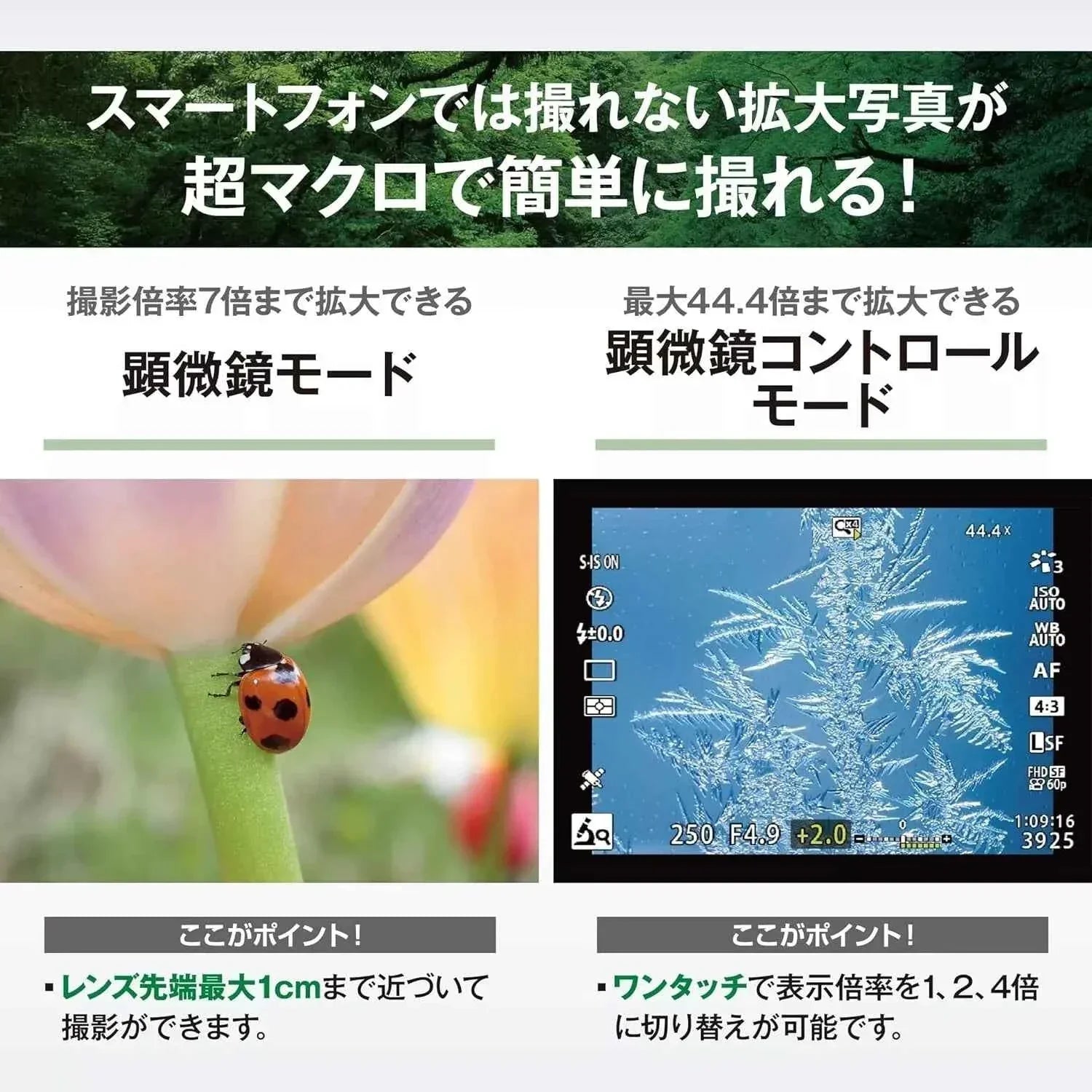 OM SYSTEM OLYMPUS Tough TG-7 Red Compact Digital Camera - cameraavenue