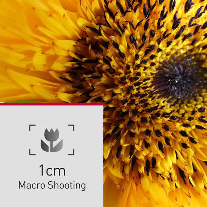 Panasonic LUMIX FZ80D Point and Shoot 4K Digital Camera with 20-1200mm Lens - Black - cameraavenue