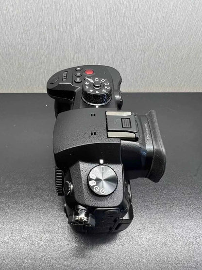 Panasonic LUMIX GH5 II 20.3MP Mirrorless Micro Four Thirds Camera – DC-GH5M - cameraavenue