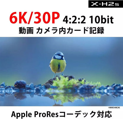 Fujifilm X-H2S Mirrorless Digital Camera Body Black - cameraavenue