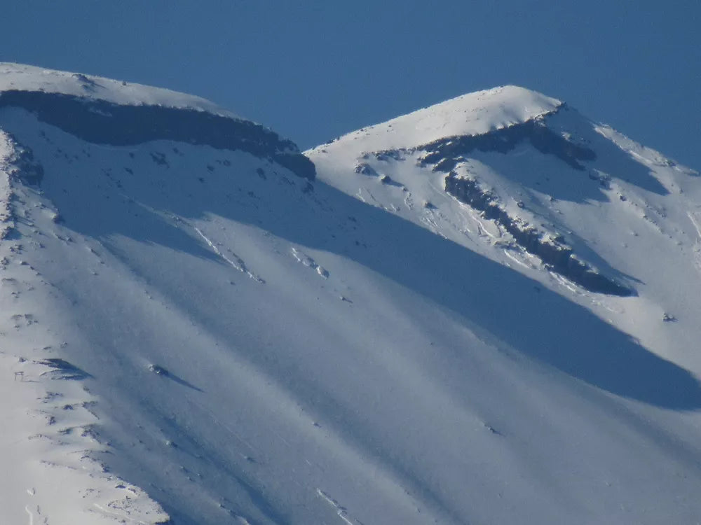 Canon PowerShot SX530 HS 16.0 MP Digital Camera with 50× Optical Zoom – Black - cameraavenue