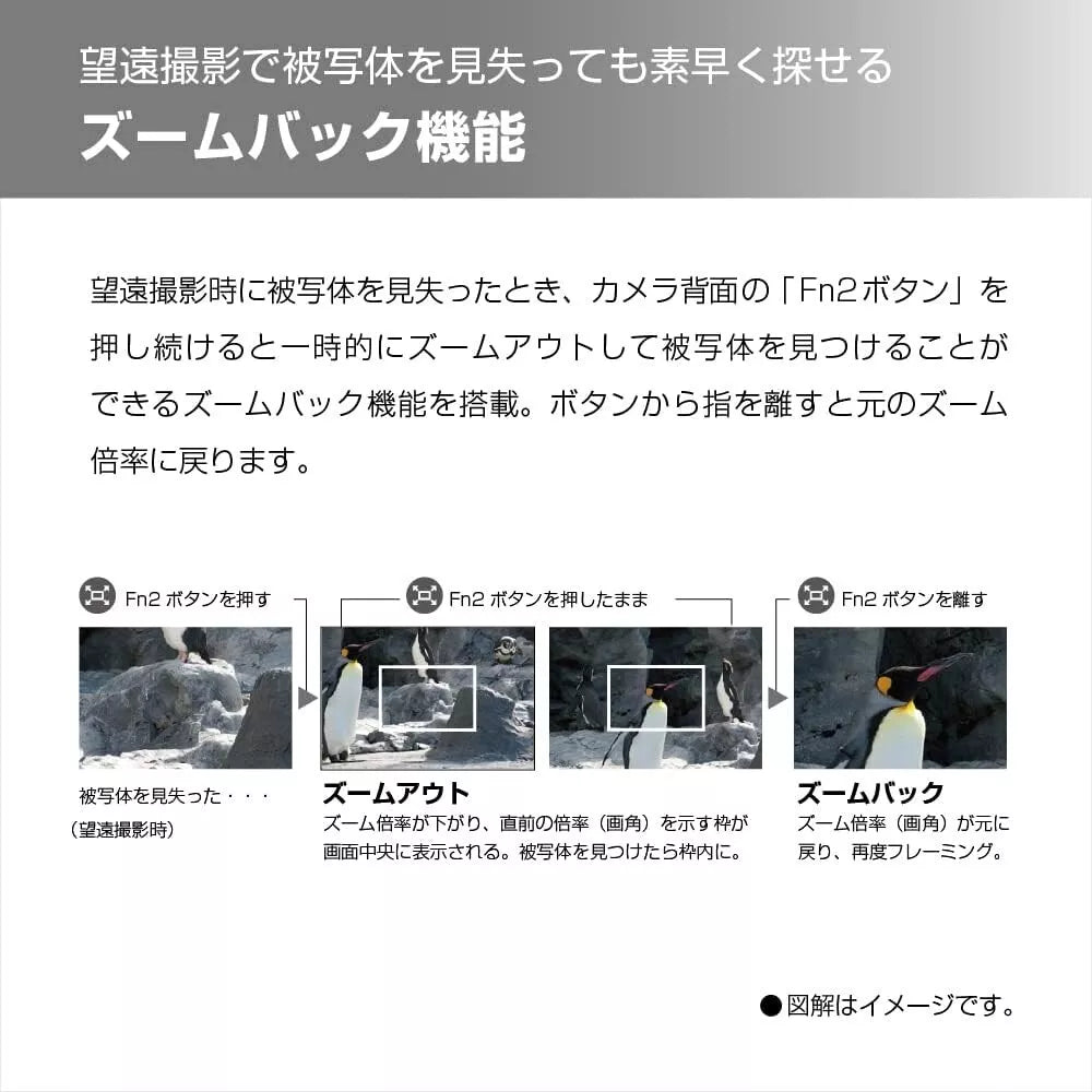 Panasonic LUMIX DC-TZ95D 20.3 MP 30× Optical Zoom Compact Digital Camera – Black - cameraavenue