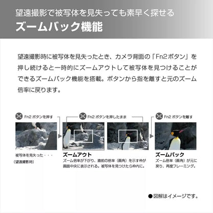 Panasonic LUMIX DC-TZ95D 20.3 MP 30× Optical Zoom Compact Digital Camera – Black - cameraavenue