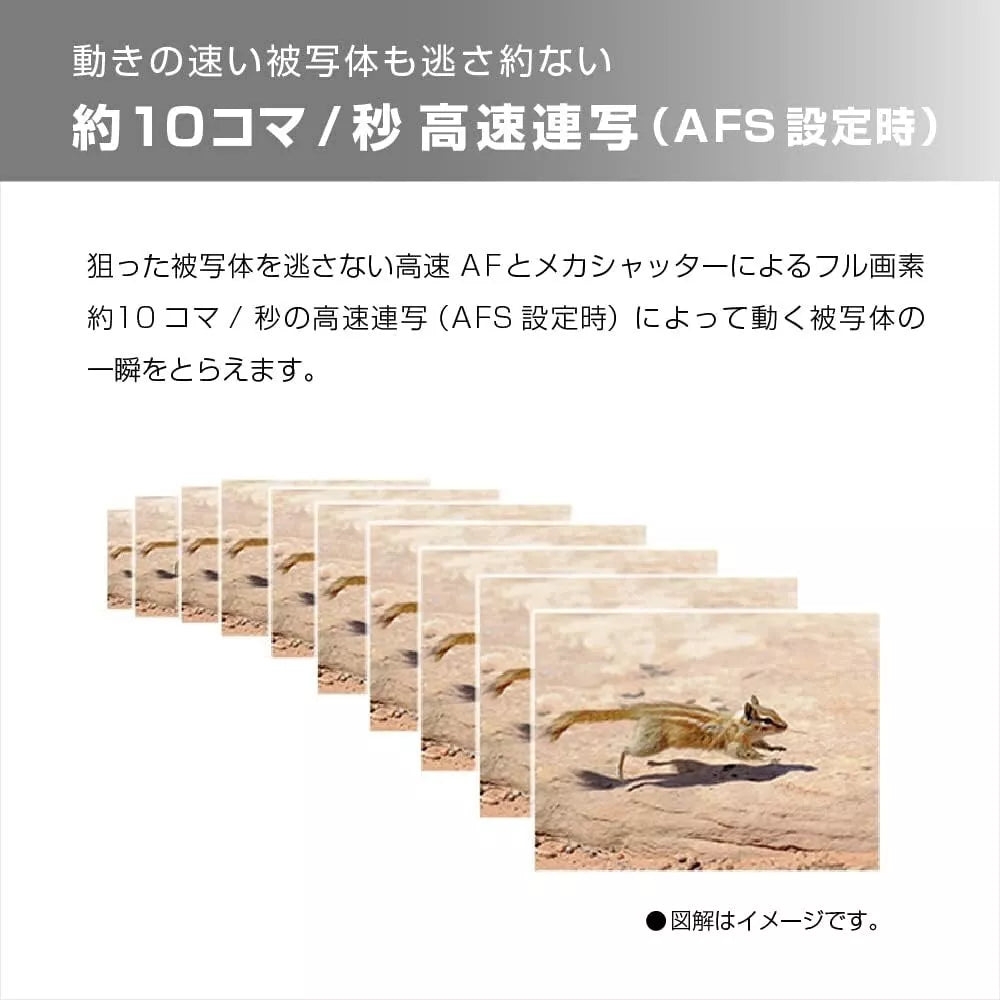 Panasonic Lumix DC-TZ95D-K 30× Optical Compact Digital Camera – Black - cameraavenue