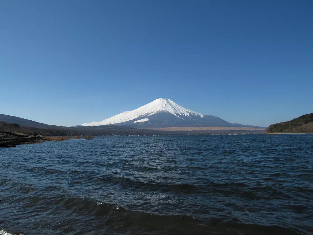 Canon PowerShot SX530 HS 16.0 MP Digital Camera with 50× Optical Zoom – Black - cameraavenue