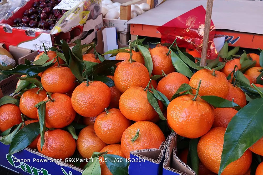 Canon PowerShot G9 X Mark II 20.1MP Compact Digital Camera – Silver & Brown - cameraavenue