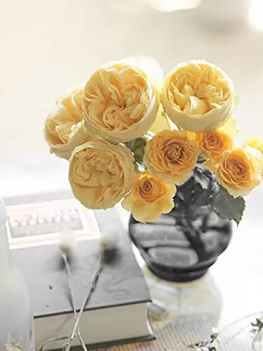 Olympus PEN E-P7 Mirrorless Camera (Body Only, Silver) - cameraavenue